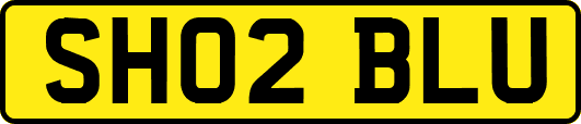 SH02BLU