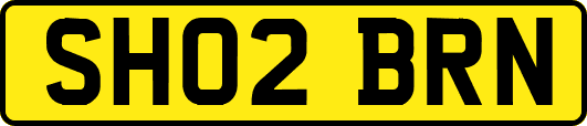 SH02BRN