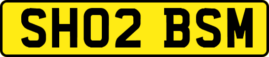 SH02BSM