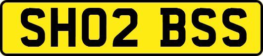 SH02BSS
