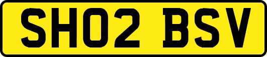SH02BSV
