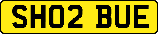 SH02BUE