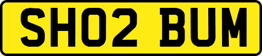 SH02BUM