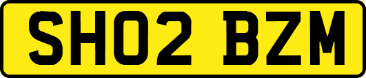 SH02BZM