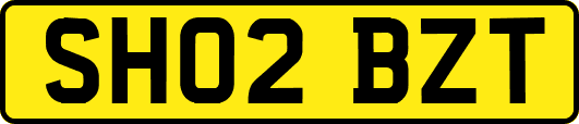 SH02BZT