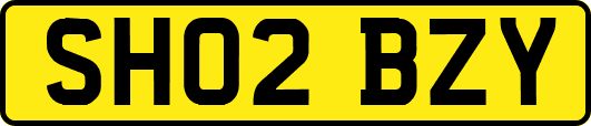 SH02BZY