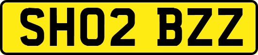 SH02BZZ