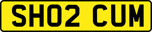 SH02CUM