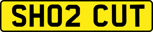 SH02CUT