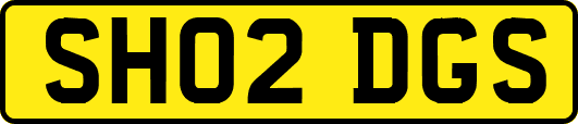 SH02DGS