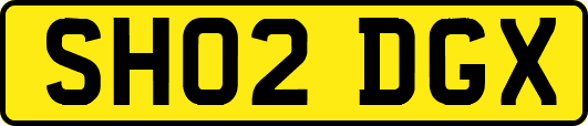 SH02DGX