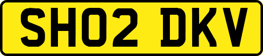 SH02DKV