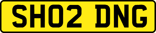 SH02DNG