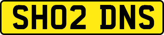 SH02DNS