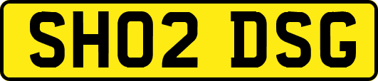 SH02DSG