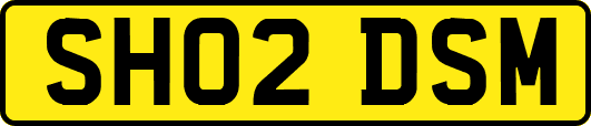 SH02DSM