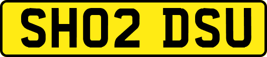SH02DSU