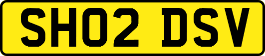 SH02DSV