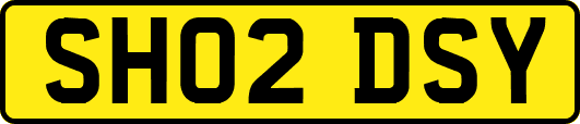 SH02DSY