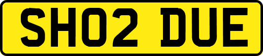 SH02DUE