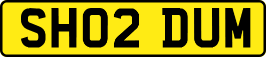 SH02DUM