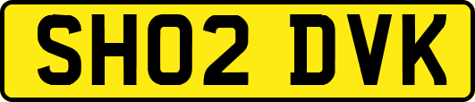 SH02DVK