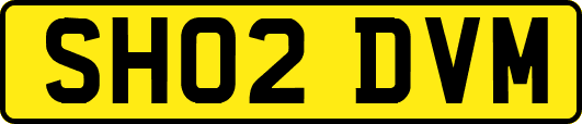 SH02DVM
