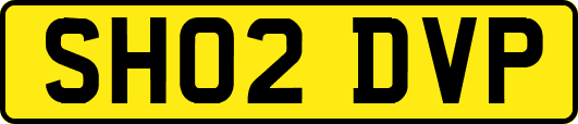 SH02DVP