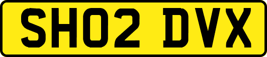 SH02DVX