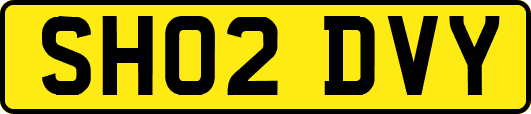 SH02DVY