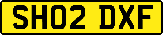 SH02DXF