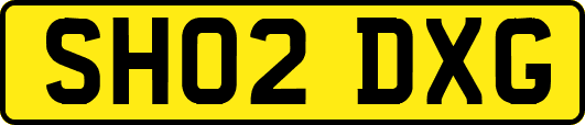 SH02DXG
