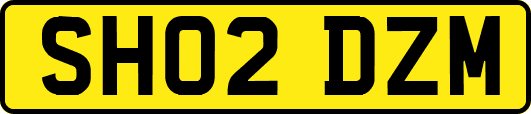 SH02DZM