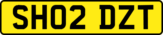 SH02DZT