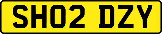 SH02DZY