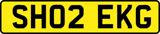 SH02EKG