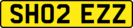 SH02EZZ