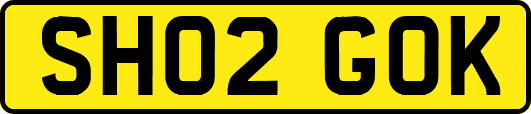 SH02GOK