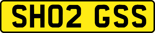 SH02GSS