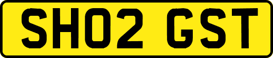 SH02GST