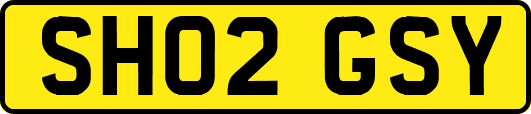 SH02GSY