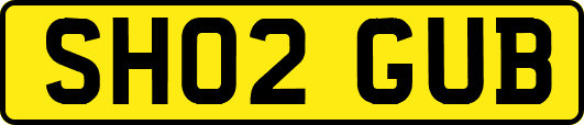 SH02GUB