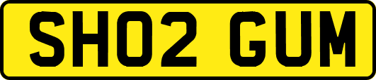 SH02GUM