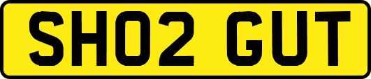 SH02GUT