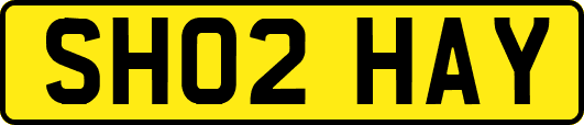 SH02HAY
