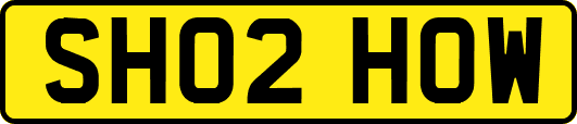 SH02HOW