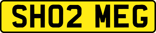 SH02MEG