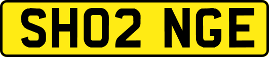 SH02NGE
