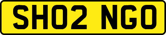 SH02NGO