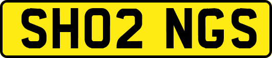 SH02NGS